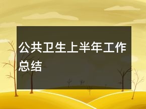 公共卫生上半年工作总结