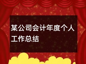 某公司会计年度个人工作总结
