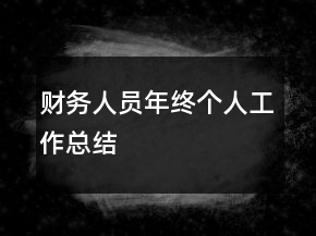 财务人员年终个人工作总结