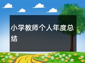小学教师个人年度总结