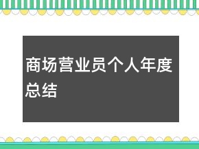 商场营业员个人年度总结
