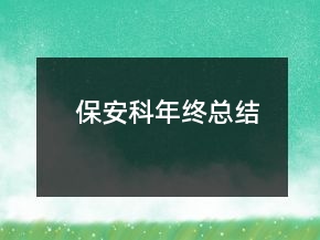 保安科年终总结