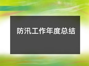 防汛工作年度总结