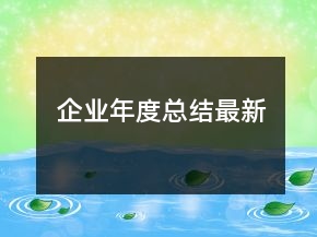 企业年度总结最新