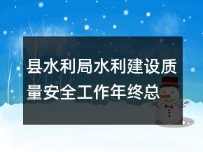 县水利局水利建设质量安全工作年终总结