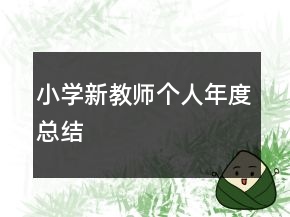 小学新教师个人年度总结