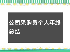 公司采购员个人年终总结