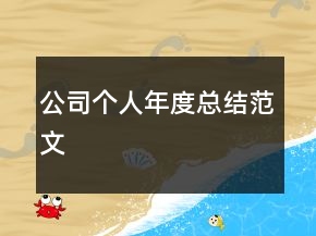 公司个人年度总结范文