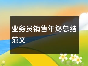 业务员销售年终总结范文