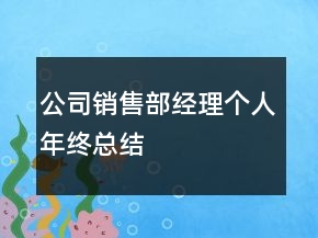 公司销售部经理个人年终总结