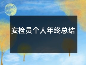 安检员个人年终总结