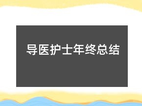 导医护士年终总结