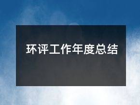 环评工作年度总结