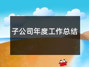 子公司年度工作总结