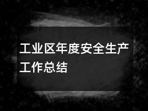 工业区年度安全生产工作总结