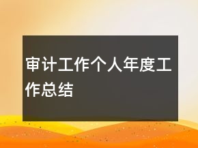 审计工作个人年度工作总结