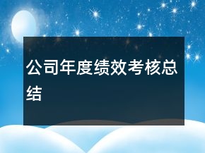 公司年度绩效考核总结
