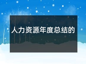 人力资源年度总结的