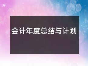 会计年度总结与计划