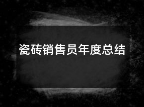 瓷砖销售员年度总结