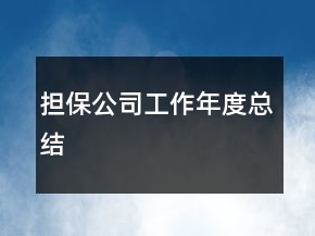 担保公司工作年度总结