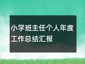 小学班主任个人年度工作总结汇报