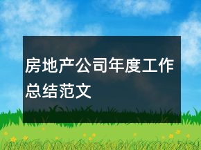 房地产公司年度工作总结范文