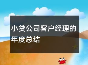 小贷公司客户经理的年度总结