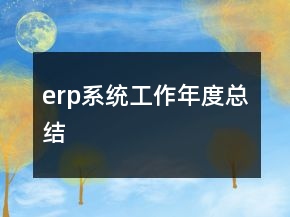 erp系统工作年度总结