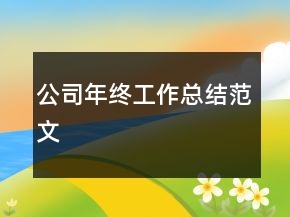 公司年终工作总结范文