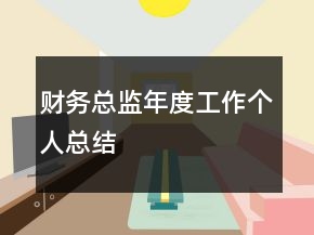 财务总监年度工作个人总结