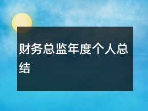 财务总监年度个人总结