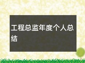 工程总监年度个人总结