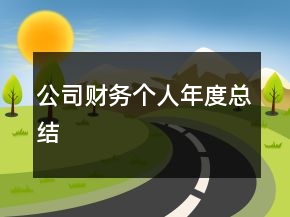 公司财务个人年度总结