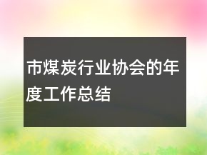 市煤炭行业协会的年度工作总结