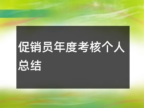 促销员年度考核个人总结