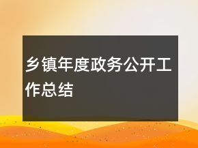 乡镇年度政务公开工作总结