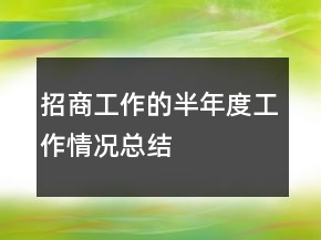 招商工作的半年度工作情况总结