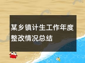 某乡镇计生工作年度整改情况总结