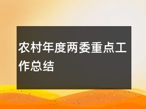 农村年度两委重点工作总结