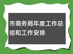 市商务局年度工作总结和工作安排