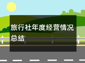 旅行社年度经营情况总结