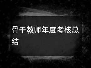 骨干教师年度考核总结