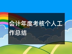 会计年度考核个人工作总结