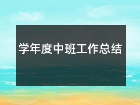 学年度中班工作总结