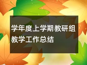 学年度上学期教研组教学工作总结