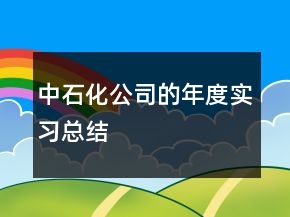 中石化公司的年度实习总结