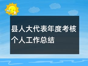 县人大代表年度考核个人工作总结