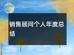 销售顾问个人年度总结