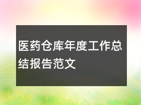 医药仓库年度工作总结报告范文